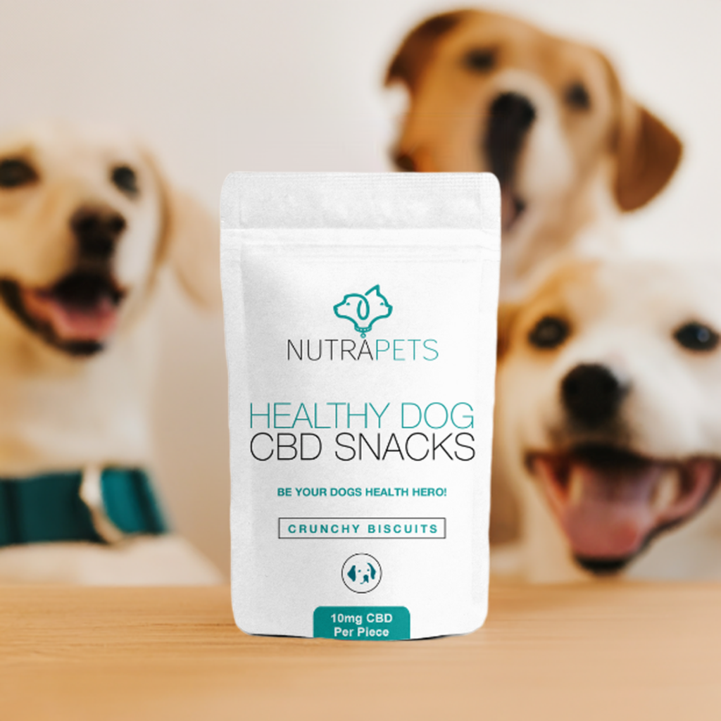 CBD Dog Treats | Healthy CBD Snacks For Dogs from CBD Essence